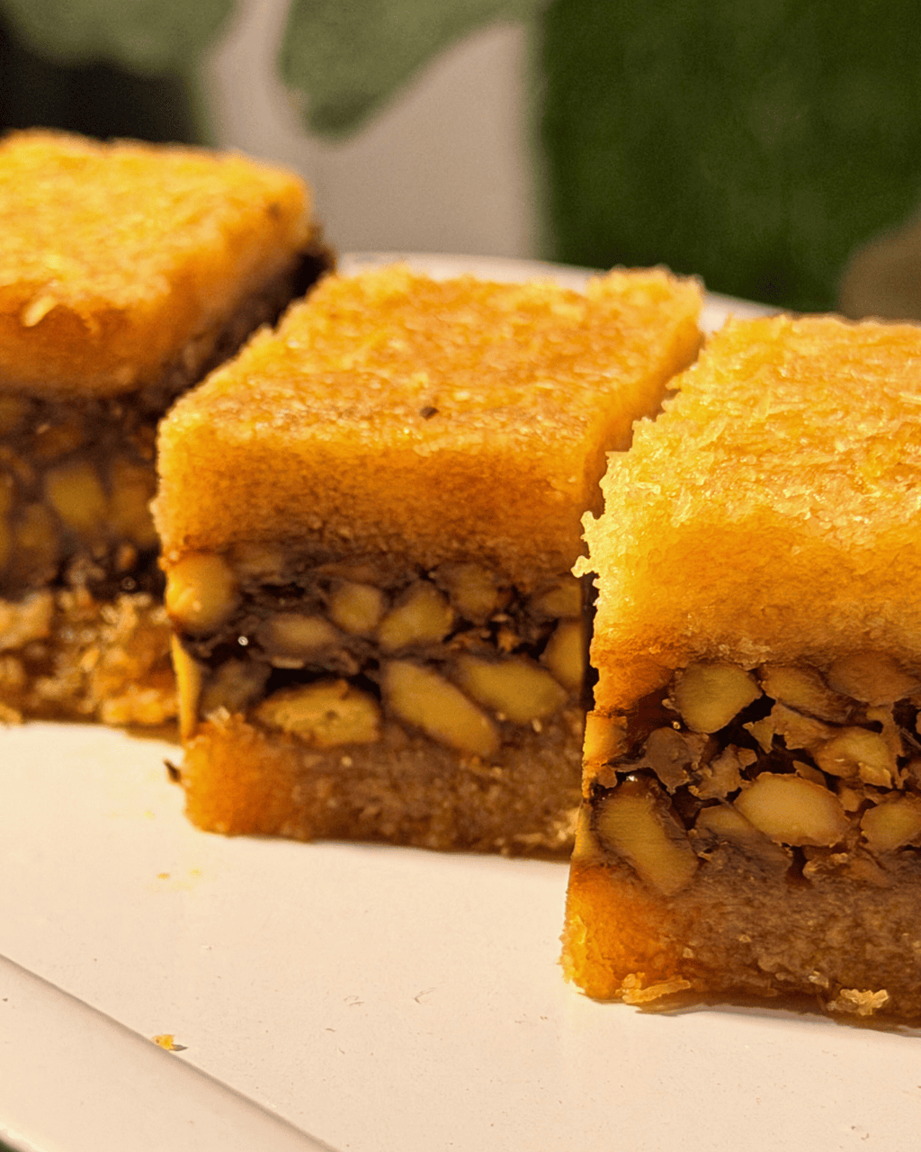 Cashew Ballouria (Anjanya, New Delhi)