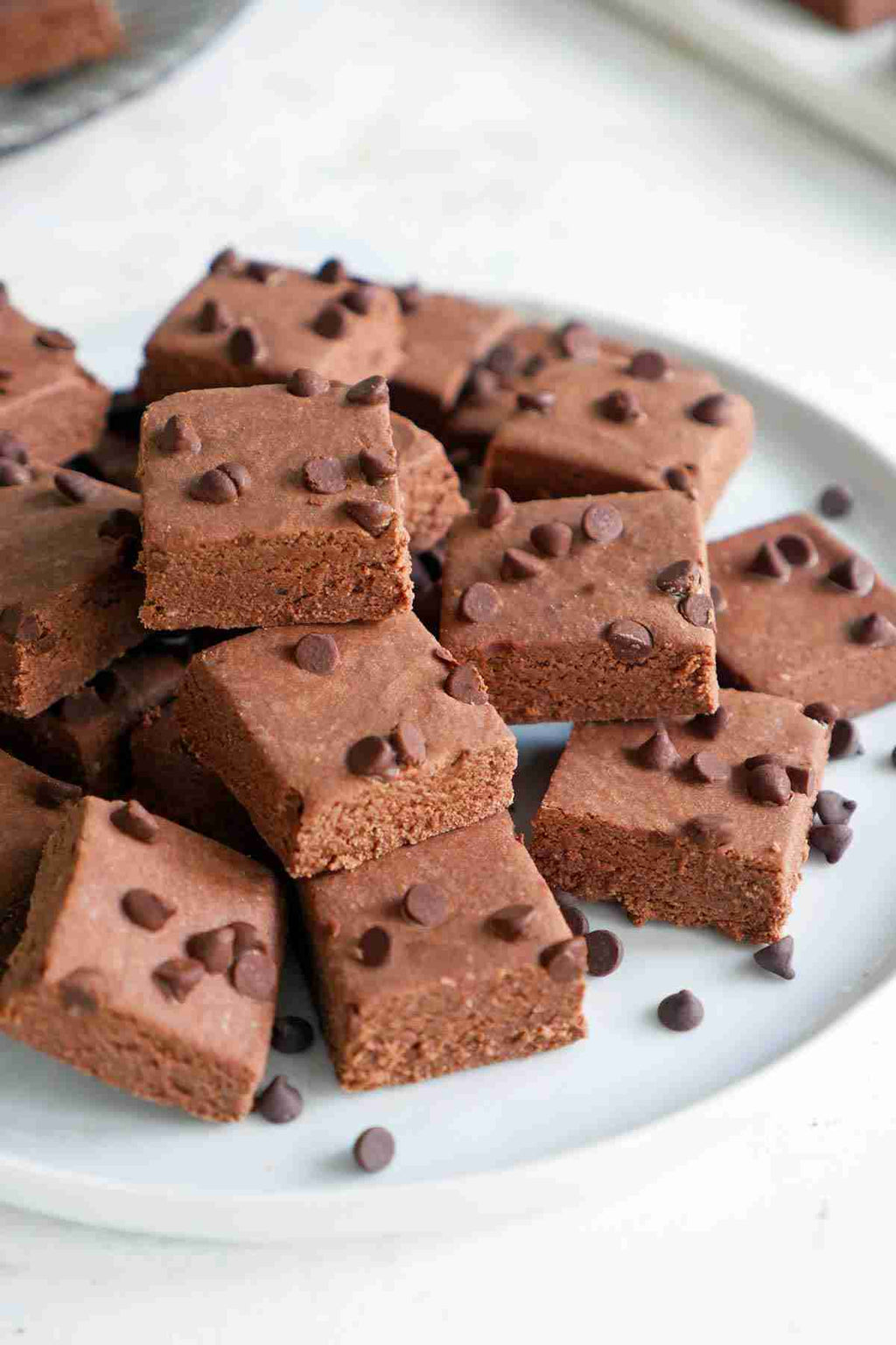 Special Chocolate Barfi (Lala Joga Sah, Almora)