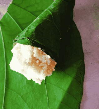 Singaudi Sweets (Khim Singh Mohan Singh Rautela, Almora)